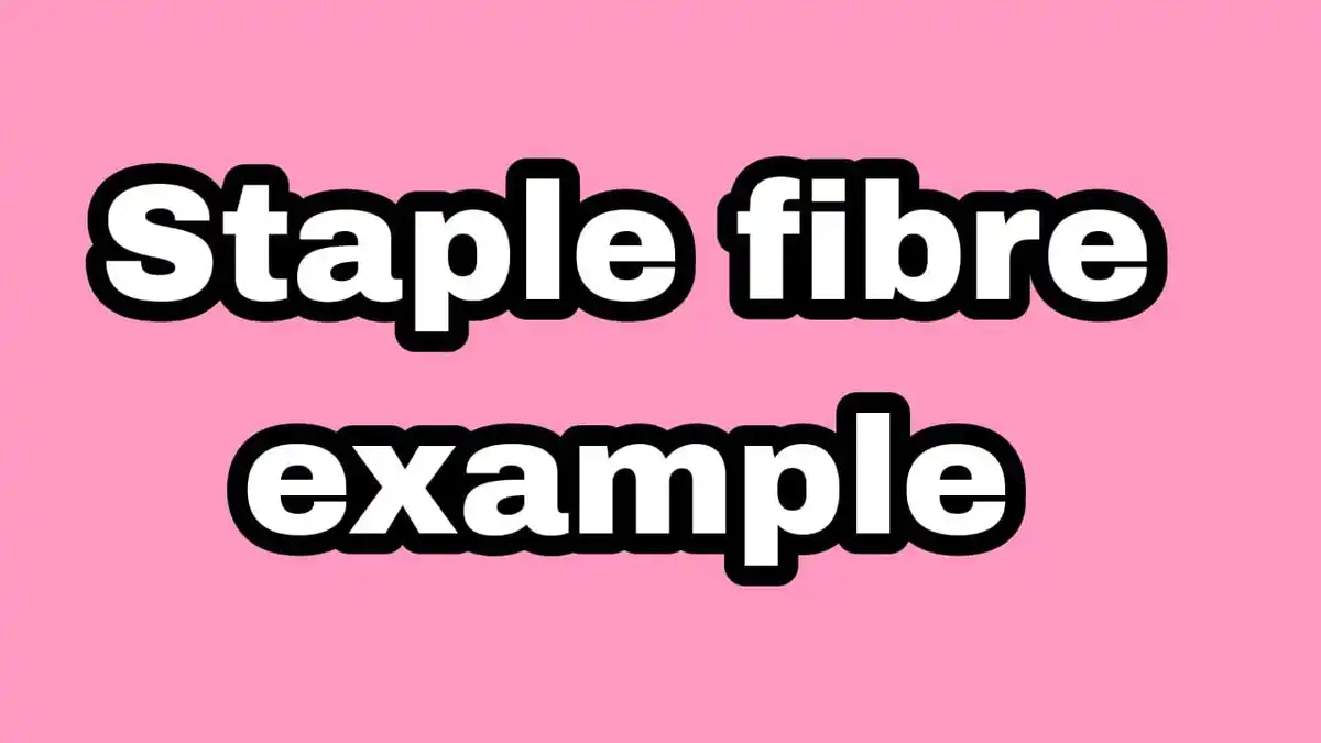 Staple fibre example