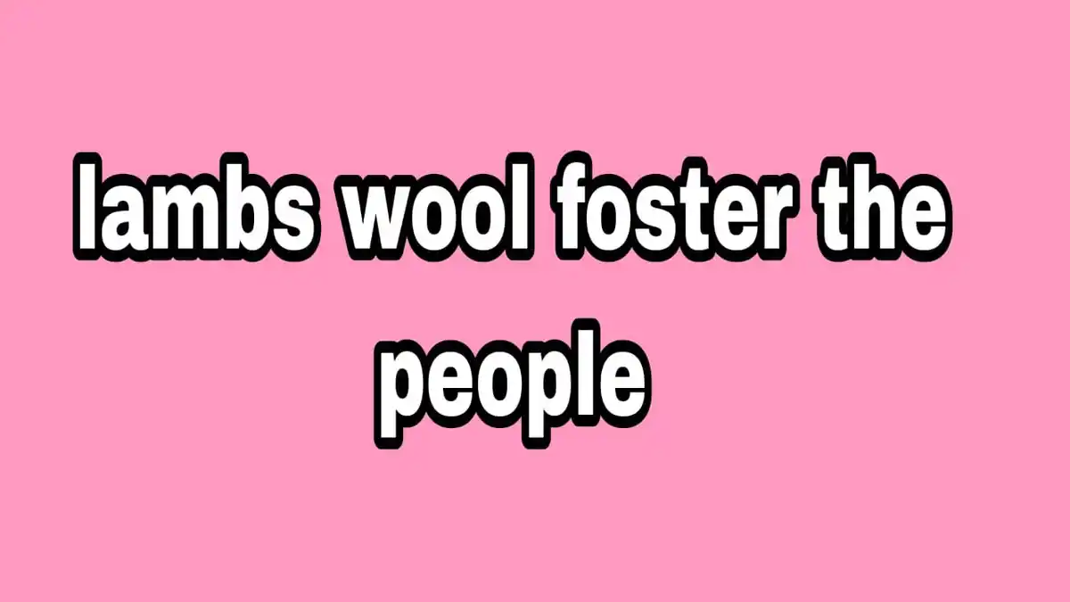 lambs wool foster the people